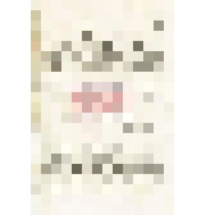 Письмо Л. X. Либермана Мартьянову с просьбой сообщить сведения об Абаканском железоделательном заводе, как можно связаться с Пермикиным