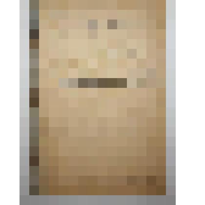 Книга. Кормление домашних животных. Издание 3-е.  Типография П.П. Сойкина