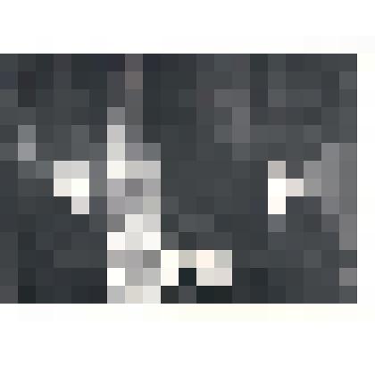 Фотография. Гарифуллин Гафият и Зарипов Рим Ибрагимович первый секретарь Кукморского райкома КПСС. из серии «Слёт -  1983 г.»