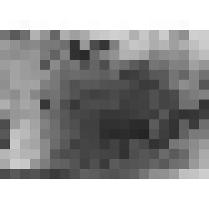 Большой дворец. Куропаточная гостиная. Плафон "Утро". Фрагмент (нижняя часть) в процессе реставрации