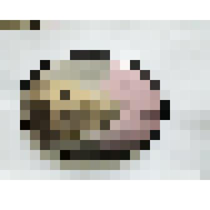 Фото-портрет О. Школьникова