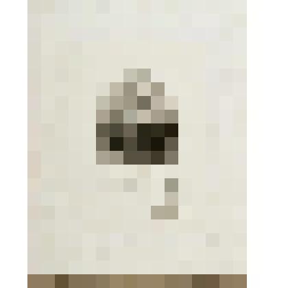 Портрет Н.А. Некрасова. С портрета И.Н. Крамского (1877. ГЛММЗ Н.А. Некрасова "Карабиха"). Портрет-заметка В.Г. Белинского. С копии А. Редера (1858. ИРЛИ РАН) с рисунка Е.А. Языковой