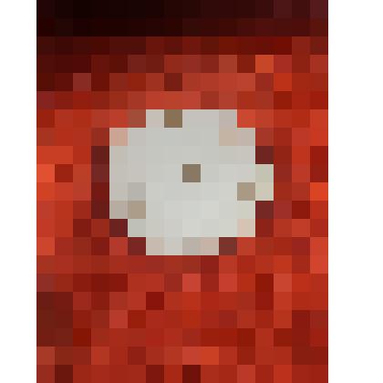 Тарелка плоская