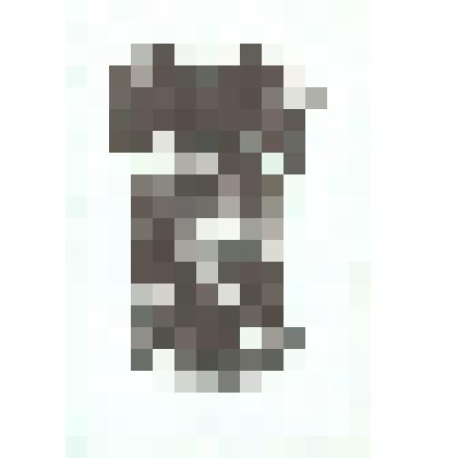 Экслибрис «Из книг П.П.Сочивко».1976