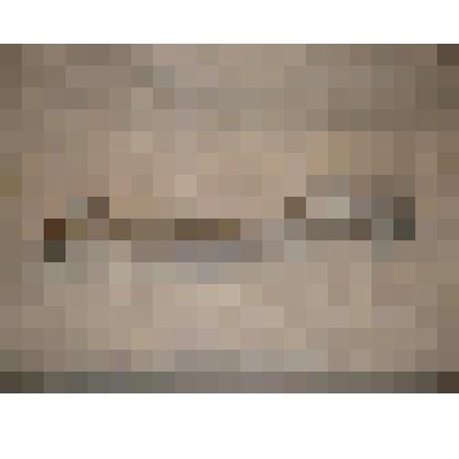 Часть рога неизвестного животного