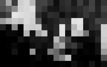 Фото. Групповая фотография. Л.В. Маяковская, А.А. Маяковская, Е.Т. Киселева-Деканозова и А.С. Езерская (в комнате А.А.Маяковской на Кр.Пресне)