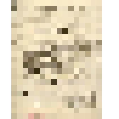 Документ. Письмо Начальника Петроградского Почтово-Телеграфного Округа Глаголева П.Н. [ Семену Евстигнеевичу] о заслугах служащей почтово-телеграфного ведомства Серединской Клавдии Иосифовны 