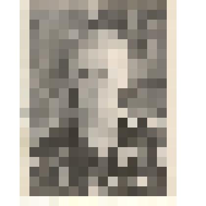 Фотография: Гриппель Ида Федоровна, доярка колхоза им. Мичурина Крутихинского района Алтайского края