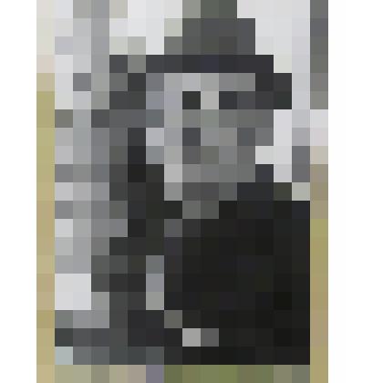 ФОТО. ТИМЧЕНКО ЕВТИХИЙ ЕВТИХИЕВИЧ -ПЕНСИОНЕР, УЧИТЕЛЬ НИЖНЕГОРСКОЙ СРЕДНЕЙ ШКОЛЫ №1