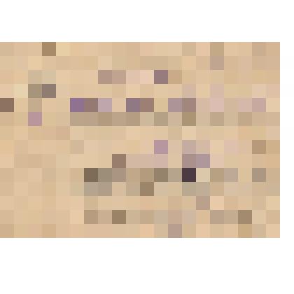 Документ. Справка на командира взвода пешей разведки, старшину Прохорова Ф.Г., награжденного Орденом Красной Звезды (посмертно) 23.04.1943