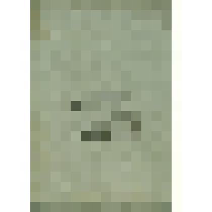 Журнал  Сольвычегодского  Духовного  правления