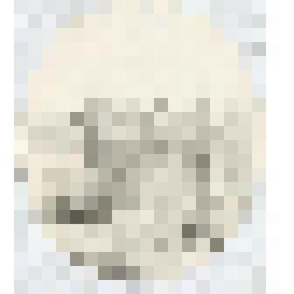 Пейзаж. Имоченский пейзаж в Олонецкой губернии