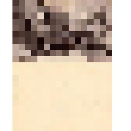 Почтовая карточка Coup d’Etat du 18 Brumaire (1799) «Переворот 18 брюмера (1799)»