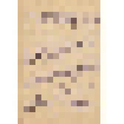 Автобиография В.К. Блюменфельда