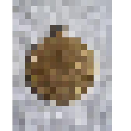 Медаль "Материнства"