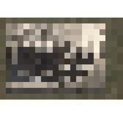 Ф/чб/к. Группа работников перед отправкой на сезонные работы в колхозы Немреспублики. АССР НП. 1930-е