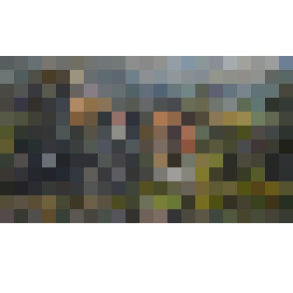 Картина ГИ Пляскина «На борозде»