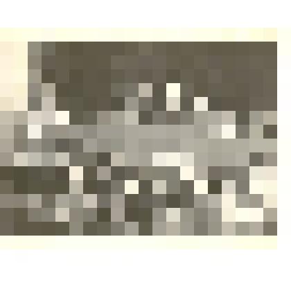 Фотография: районное совещание колхозников