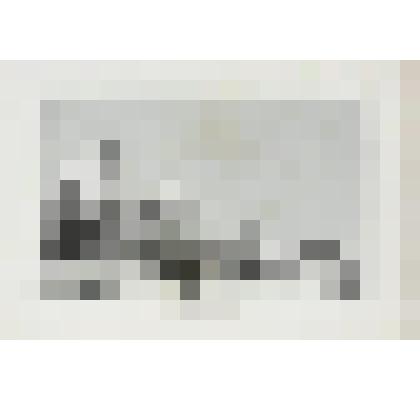 Литография. "Москва. Императорский дворец, так называемый Павловский. Кремлевская терраса."