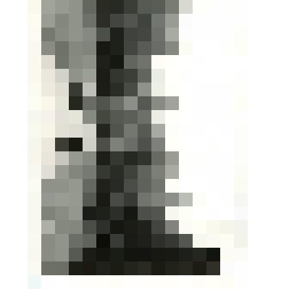 Коллекция фотографий – Фотофиксация гатчинского дворцового парка