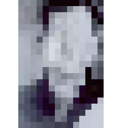 Фотография участника партизанского отряда № 2 «За Сталина» Тищенко Ивана Алексеевича