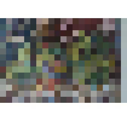 Цветет бегония