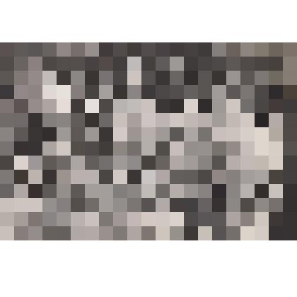 Фотография черно – белого изображения. Новый год 1970