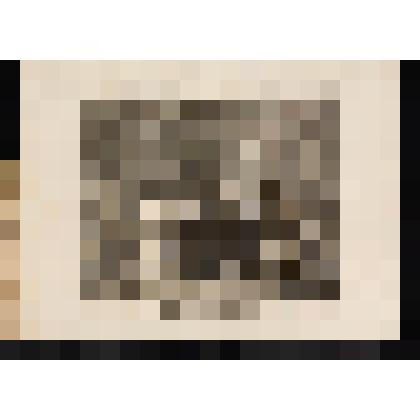 У шарлатана. Лист III из серии "Модный брак". 1745, из альбома «The Works of William Hogarth»