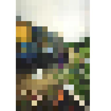 Фотография цветная. Привал в Уральских горах на пути в п. Хорпия