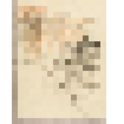 Карета у подъезда, из альбома  «190 пейзажей; зарисовки, иллюстрации, карикатуры»