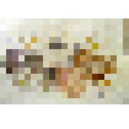 Морские свинки