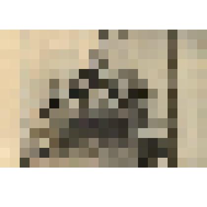 La Gloire de la France (Скульптурная группа "Слава Франции" (№ 131) - лист из альбома: «Recueil des statues, groupes, fontaines, termes, vases, et autres magnifiques ornaments du Chateau & Parc de Versailles.» T. I-IV. (Собрание фигур, групп, терм, фонтан