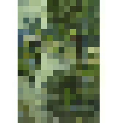 Картина. Мокрый бульвар