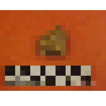 фрагмент гладкостенной керамики