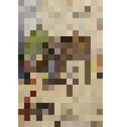 Карточка почтовая "Слон и моська"