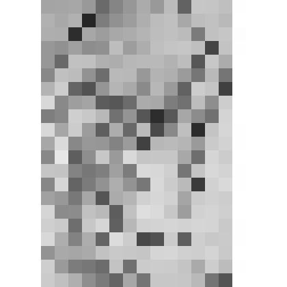 «Настасья»