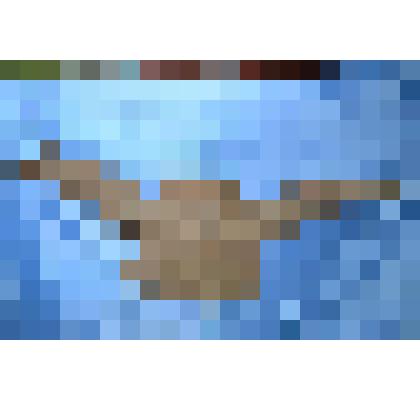 Череп бизона (бизон оҕус төбөтө)