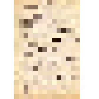 Справка о состоянии помещения Энгельсского краеведческого музея и выставочных площадях