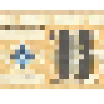 Талон ВА 096704 о прохождении гостехосмотра машины (бланк) на 2003 г