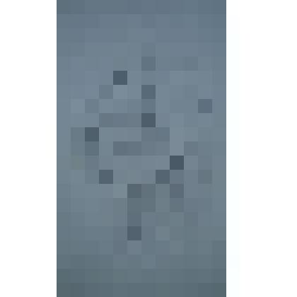 Рисунок«Сказка о царе Берендее»