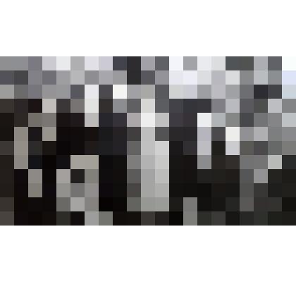 Фото групповое. Коллектив учителей начальной шк. №13 г. Назарово