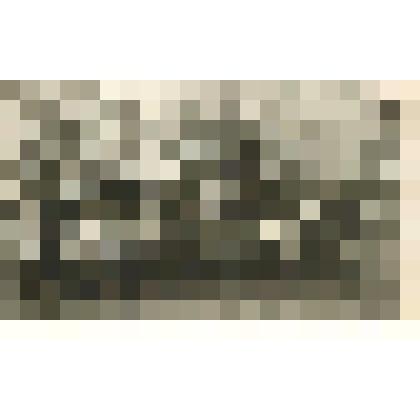 Фотографии. Фото. Зональное совещание работников музеев Восточной Сибири и Дальнего Востока, посвященное 100-летию со дня рождения В.И. Ленина. Во втором ряду шестая слева Половникова В.Н