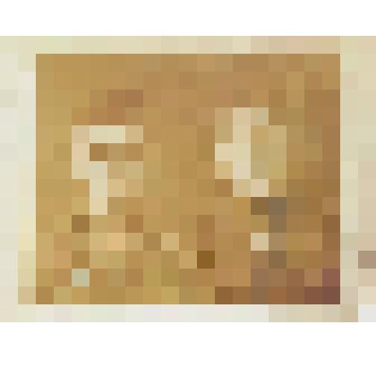 Фото/чб. Лейтенант Лопатников Виктор Петрович (слева),  командир огневого взвода батареи 60-го гв. стрелкового полка 20-й гв. стр. дивизии 26 крпуса 46 Армии 3 Укр. фронта, с сослуживем Синдюковым Г.М. Госпиталь. Днепропетровск. 25 марта 1944