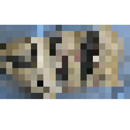 Шарф женский