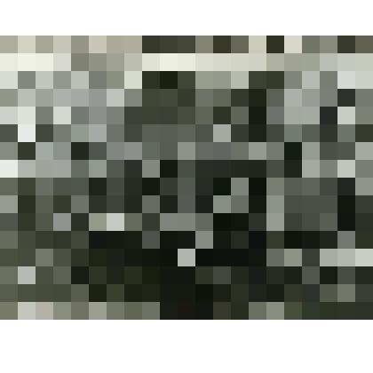 Фотография. Выращивание тепличных огурцов