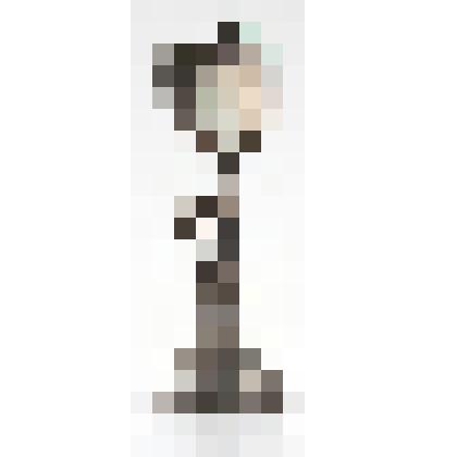 Кубок - наутилус