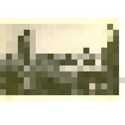 Фотография: сдача экзаменов счетчиками по проведению всеобщей переписи населения в г.Камень-на-Оби