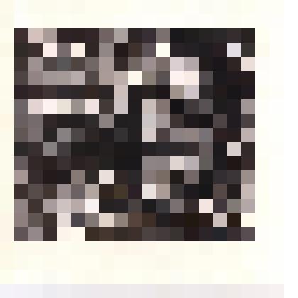 Экслибрис В. С. Осняч