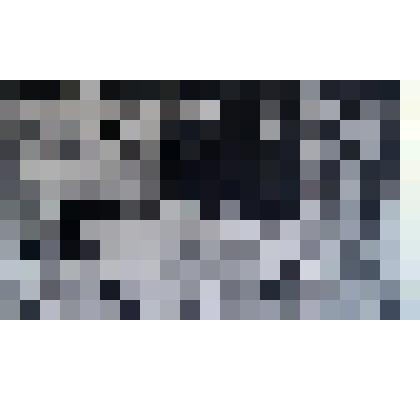 Строители нового города