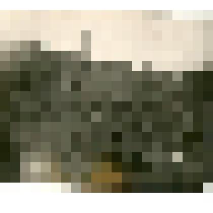 Фотография. Кангаласские угольные разработки. Шахта